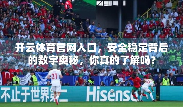 开云体育官网入口，安全稳定背后的数字奥秘，你真的了解吗？