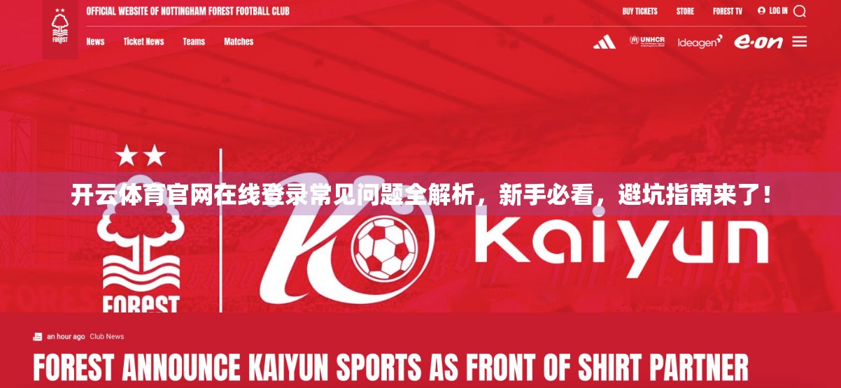 开云体育官网在线登录常见问题全解析，新手必看，避坑指南来了！