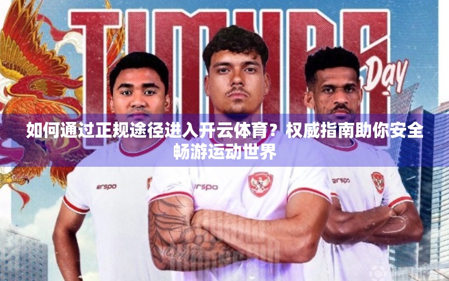 如何通过正规途径进入开云体育？权威指南助你安全畅游运动世界