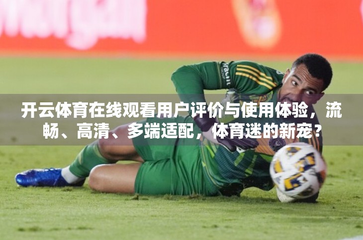 开云体育在线观看用户评价与使用体验，流畅、高清、多端适配，体育迷的新宠？