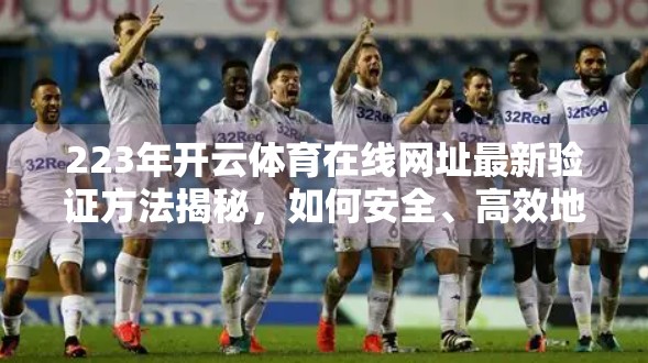 223年开云体育在线网址最新验证方法揭秘，如何安全、高效地访问你的体育赛事世界？