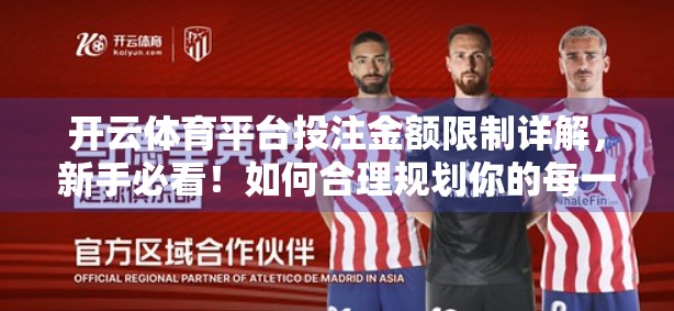开云体育平台投注金额限制详解，新手必看！如何合理规划你的每一笔投注？