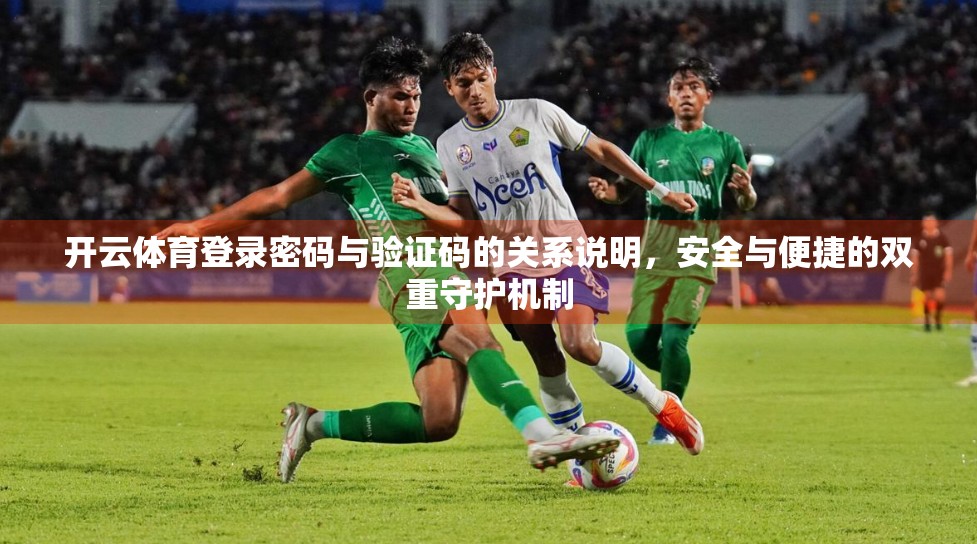 开云体育登录密码与验证码的关系说明，安全与便捷的双重守护机制
