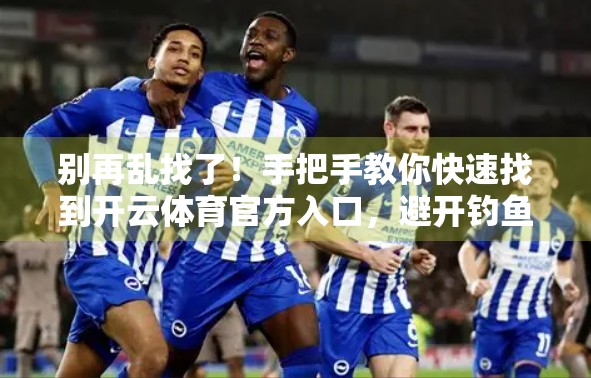 别再乱找了！手把手教你快速找到开云体育官方入口，避开钓鱼网站不踩坑！