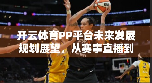 开云体育PP平台未来发展规划展望，从赛事直播到智能生态的跃迁之路
