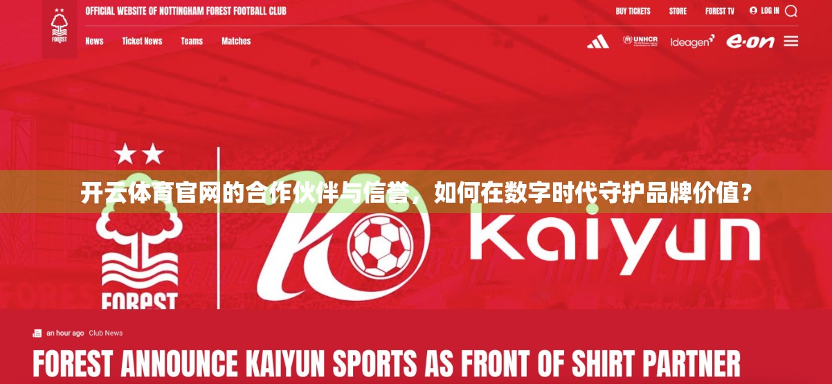 开云体育官网的合作伙伴与信誉，如何在数字时代守护品牌价值？
