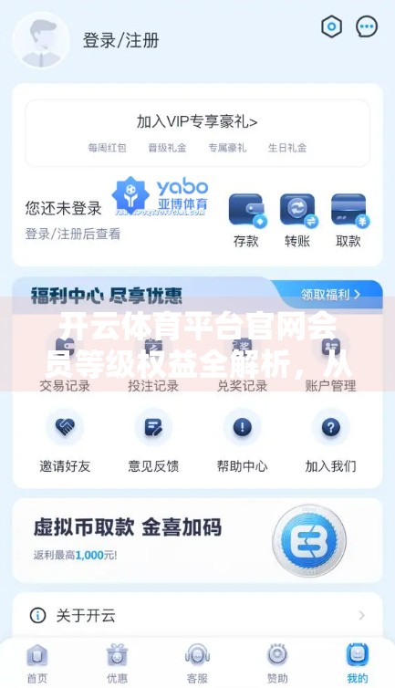 开云体育平台官网会员等级权益全解析，从青铜到王者，你的每一级都值得被看见！