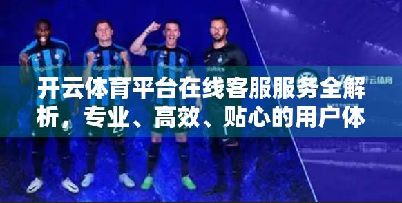 开云体育平台在线客服服务全解析，专业、高效、贴心的用户体验新标杆