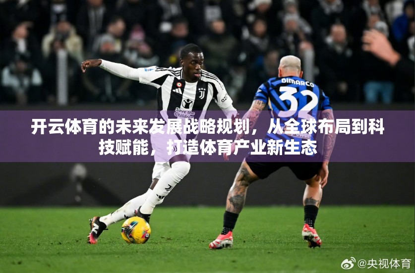 开云体育的未来发展战略规划，从全球布局到科技赋能，打造体育产业新生态