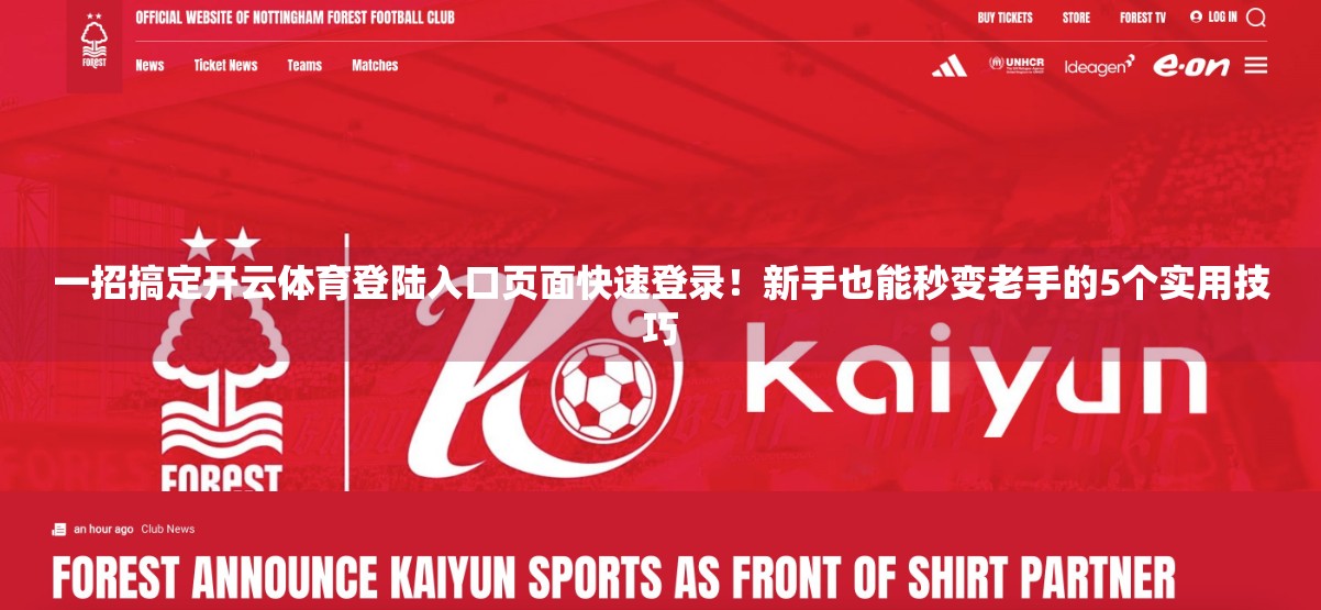 一招搞定开云体育登陆入口页面快速登录！新手也能秒变老手的5个实用技巧