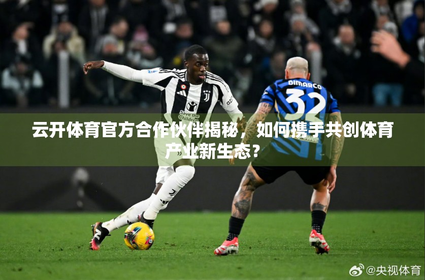 云开体育官方合作伙伴揭秘，如何携手共创体育产业新生态？