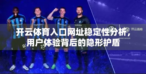 开云体育入口网址稳定性分析，用户体验背后的隐形护盾