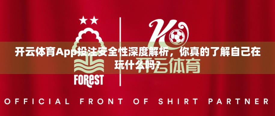 开云体育App投注安全性深度解析，你真的了解自己在玩什么吗？